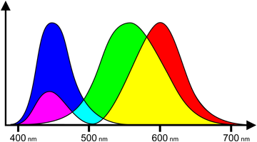 Colour sensitivity of cones (by wavelength)